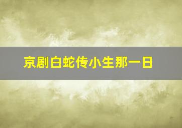 京剧白蛇传小生那一日