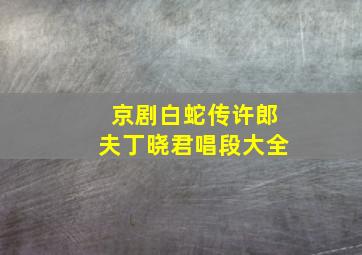 京剧白蛇传许郎夫丁晓君唱段大全