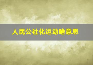 人民公社化运动啥意思