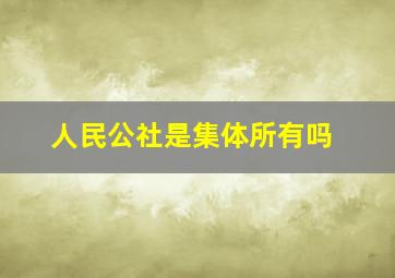 人民公社是集体所有吗