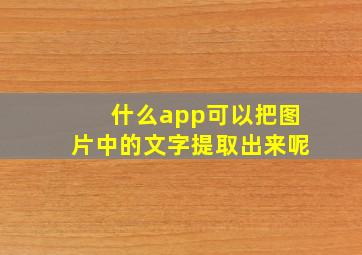 什么app可以把图片中的文字提取出来呢