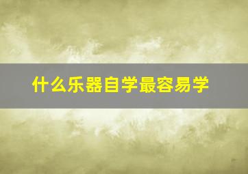 什么乐器自学最容易学