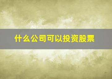 什么公司可以投资股票