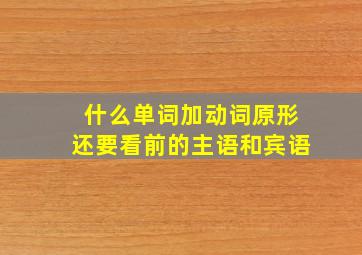 什么单词加动词原形还要看前的主语和宾语