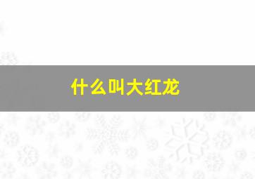 什么叫大红龙