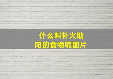 什么叫补火助阳的食物呢图片