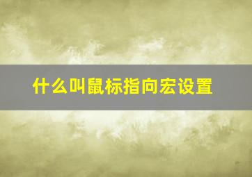 什么叫鼠标指向宏设置