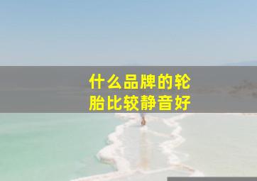 什么品牌的轮胎比较静音好