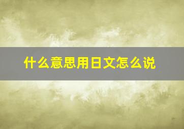 什么意思用日文怎么说