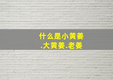 什么是小黄姜.大黄姜.老姜