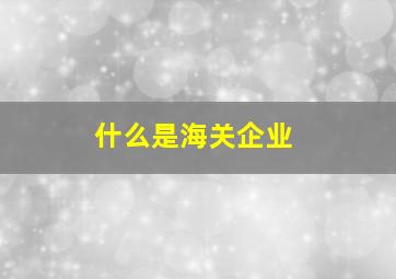 什么是海关企业