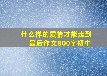 什么样的爱情才能走到最后作文800字初中