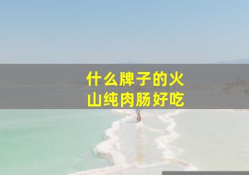 什么牌子的火山纯肉肠好吃