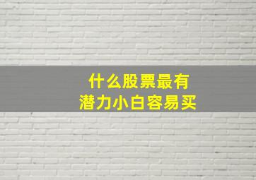 什么股票最有潜力小白容易买