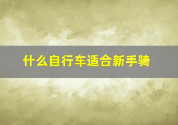 什么自行车适合新手骑