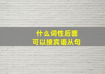 什么词性后面可以接宾语从句