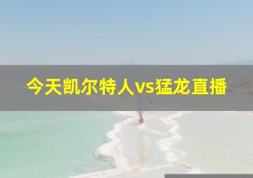 今天凯尔特人vs猛龙直播