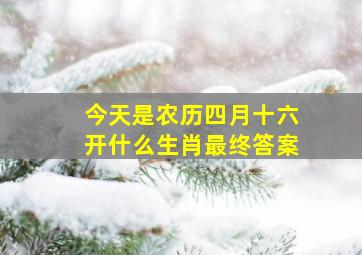 今天是农历四月十六开什么生肖最终答案