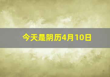 今天是阴历4月10日