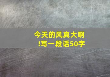 今天的风真大啊!写一段话50字