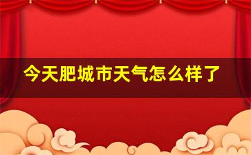 今天肥城市天气怎么样了