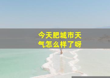 今天肥城市天气怎么样了呀