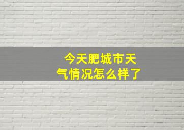 今天肥城市天气情况怎么样了