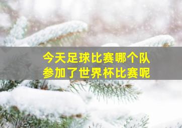 今天足球比赛哪个队参加了世界杯比赛呢