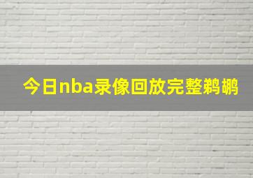 今日nba录像回放完整鹈鹕