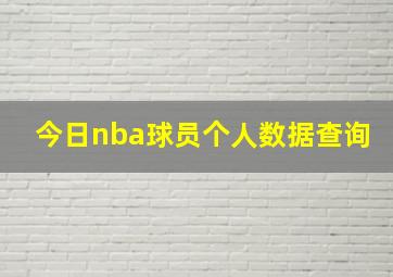 今日nba球员个人数据查询