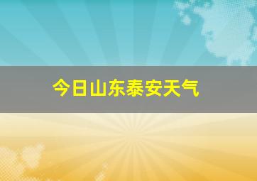 今日山东泰安天气