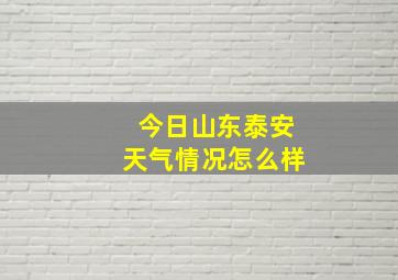 今日山东泰安天气情况怎么样