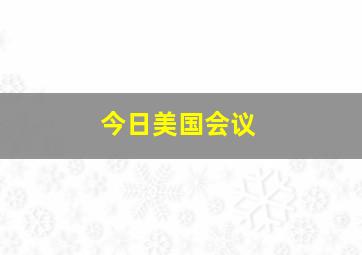 今日美国会议