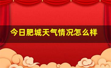 今日肥城天气情况怎么样