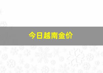 今日越南金价