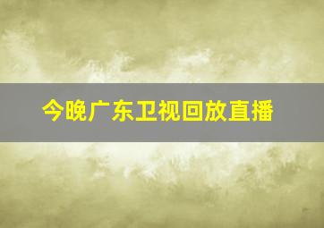 今晚广东卫视回放直播