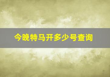 今晚特马开多少号查询