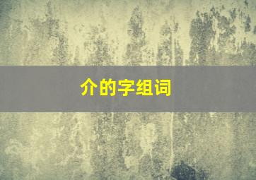 介的字组词