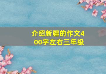 介绍新疆的作文400字左右三年级