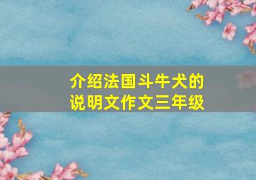 介绍法国斗牛犬的说明文作文三年级