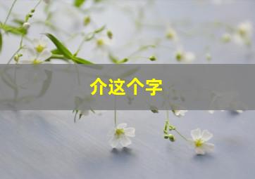 介这个字