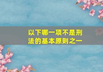 以下哪一项不是刑法的基本原则之一