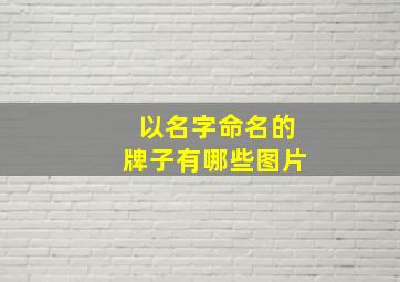 以名字命名的牌子有哪些图片