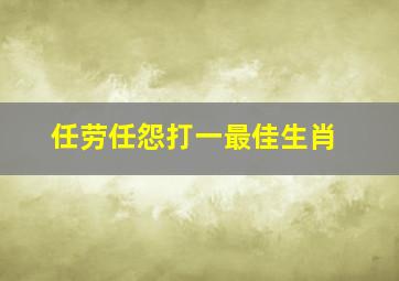 任劳任怨打一最佳生肖