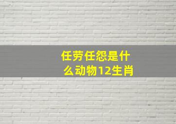 任劳任怨是什么动物12生肖