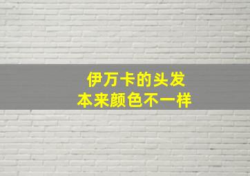 伊万卡的头发本来颜色不一样