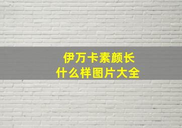 伊万卡素颜长什么样图片大全