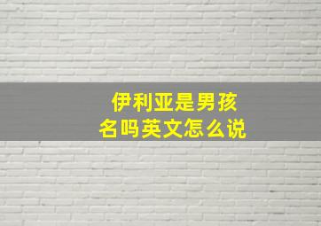 伊利亚是男孩名吗英文怎么说