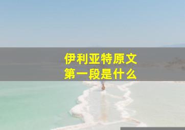 伊利亚特原文第一段是什么