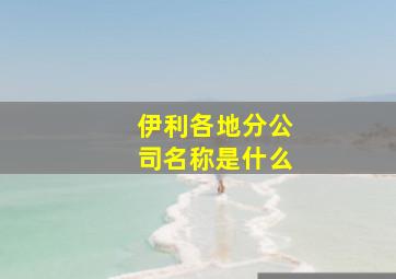 伊利各地分公司名称是什么